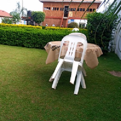 Panoramic view of the garden’s greenery